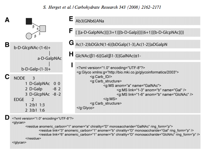 ../images/glyco_formats.png