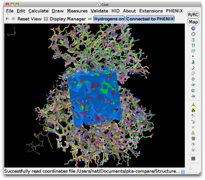 ../images/structure_comparison_coot.png