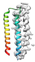 ../images/cryo_fit2_example_2_helices.png