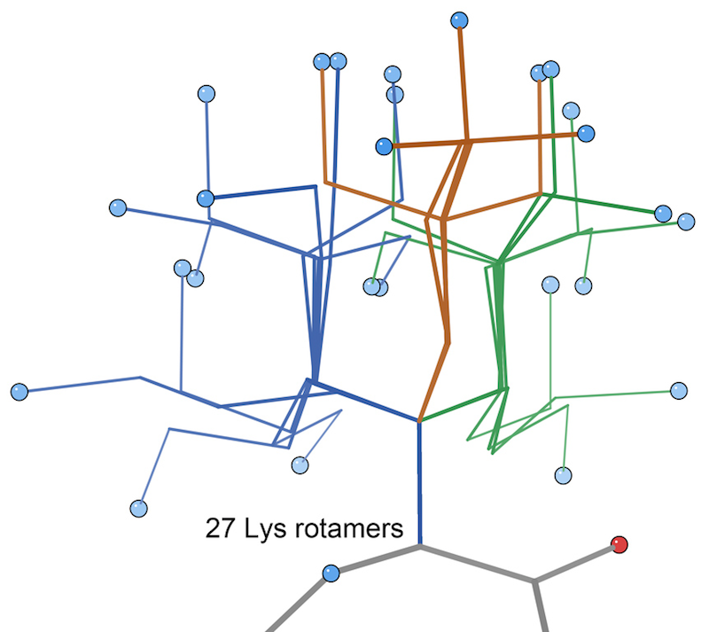 images/lysine_rotamers.png