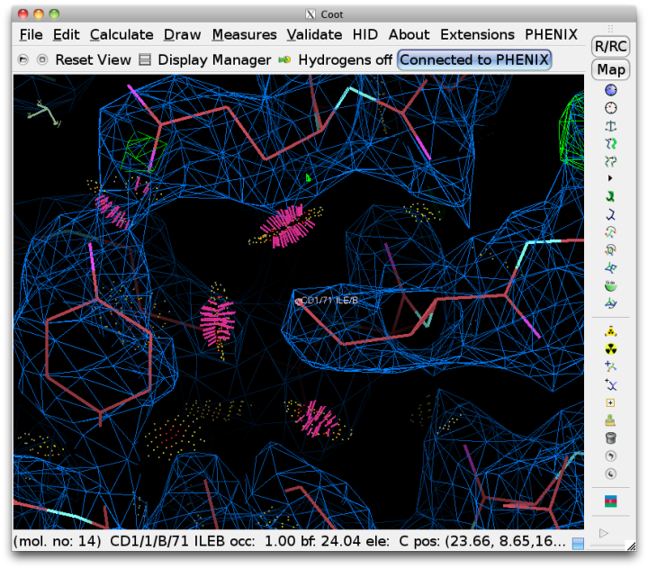 ../images/coot_probe_dots.png