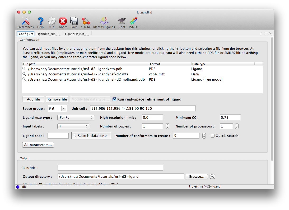 ../images/nsfd2_ligandfit_input.png